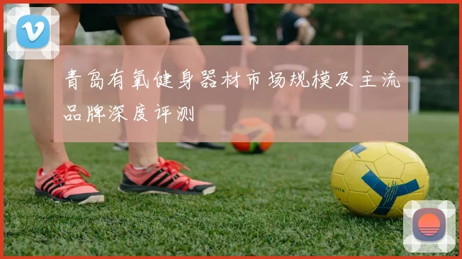 青岛有氧健身器材市场规模及主流品牌深度评测