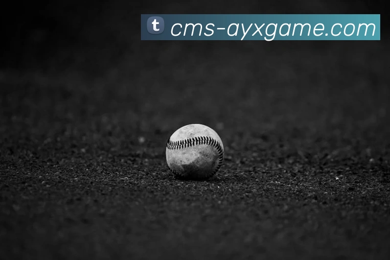 爱游戏服务体系